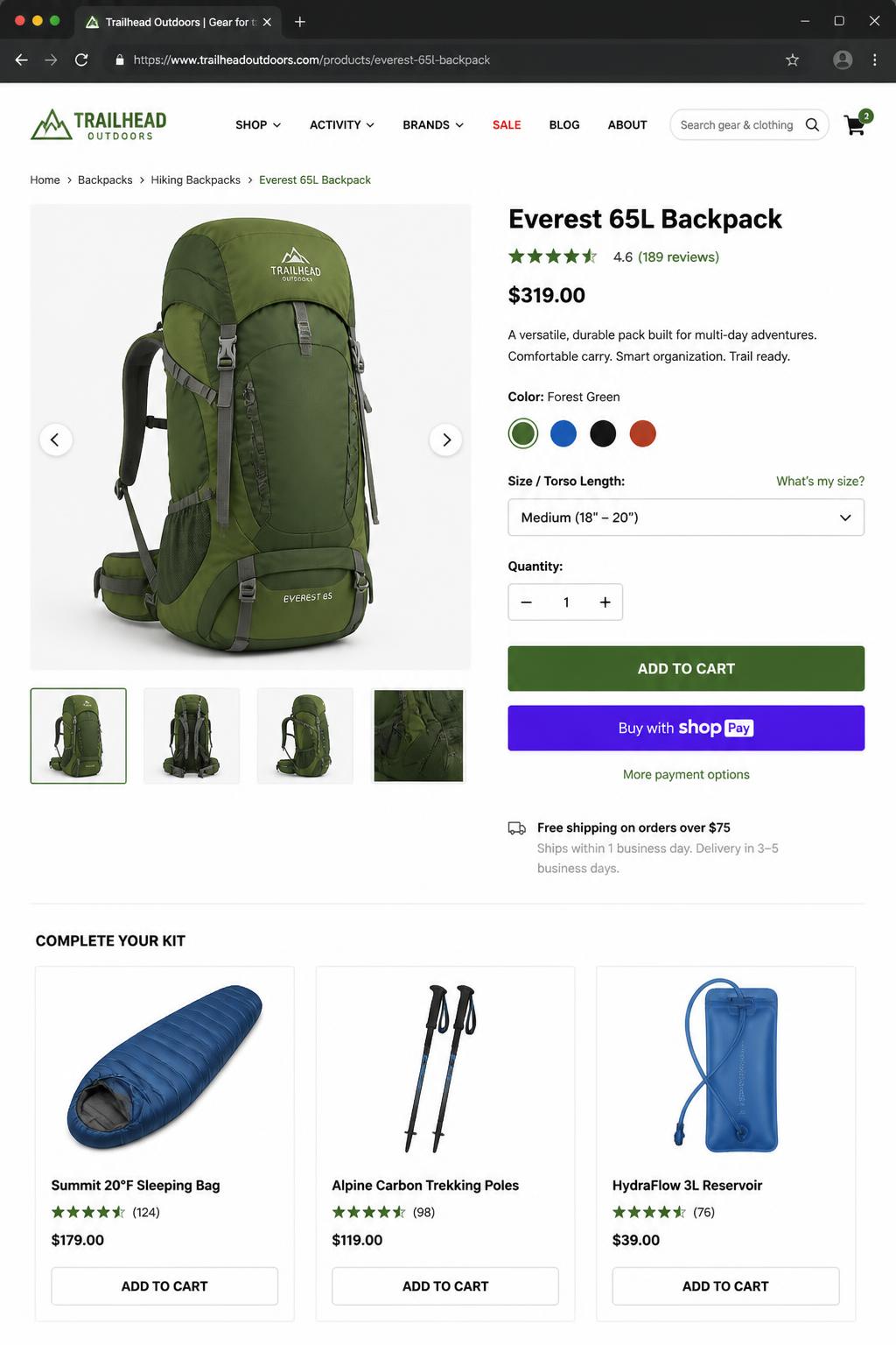 Audited capture of the wayfarer-outdoor.com storefront with numbered findings